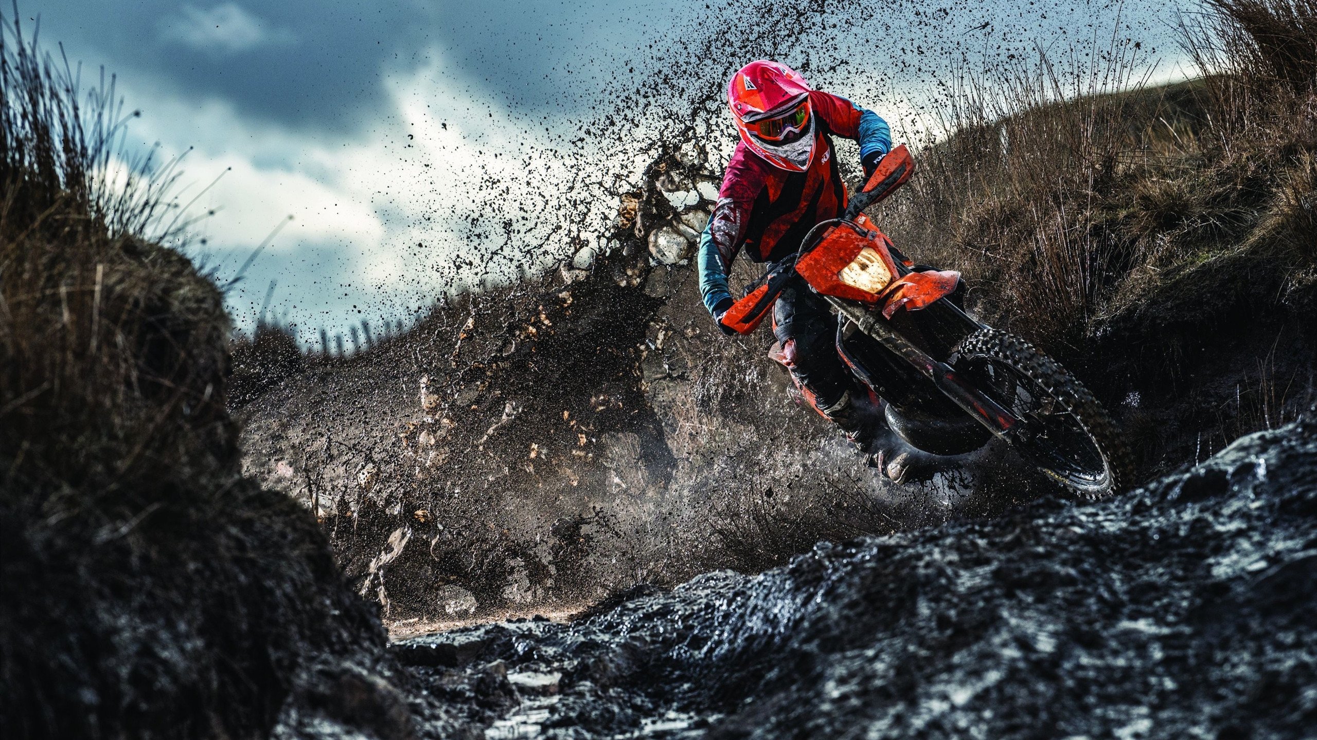 《电竞明星转型：从选手到解说再到教练的多路发展》，电竞名星